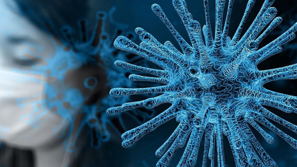 Coronavirus.- Comunicado de los Consejos Generales sanitarios ante la  pandemia del COVID-19 - Excmo. Colegio de Enfermería de Cádiz